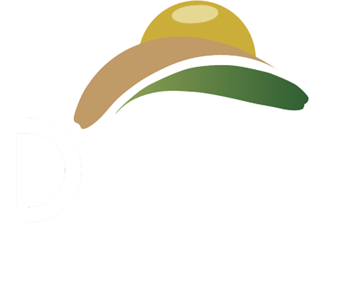 Dawn Property Consultancy